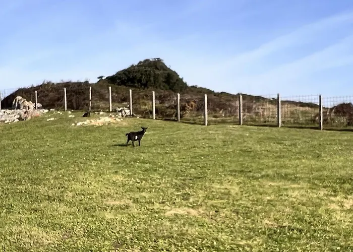 Lägenhet Vivienda Calas De Costa Quebrada *