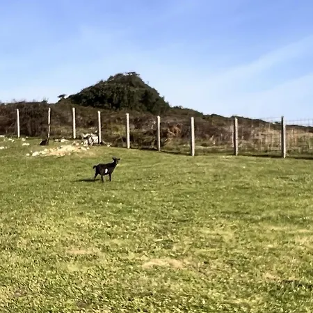 شقة Calas De Costa Quebrada *